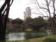 img0048.jpg