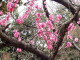 img0057.jpg