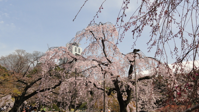 img0001.jpg