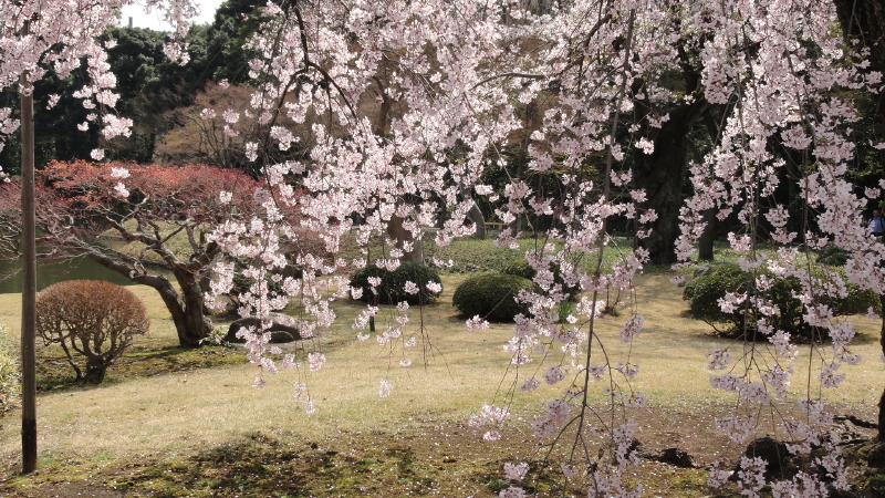img0003.jpg