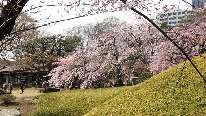 img0009.jpg
