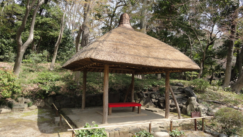 img0010.jpg