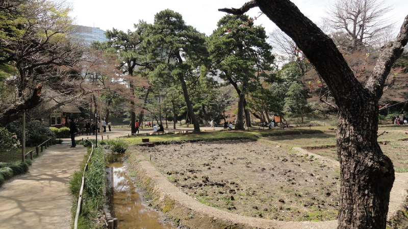 img0016.jpg