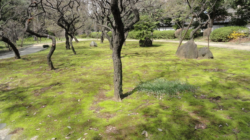 img0020.jpg