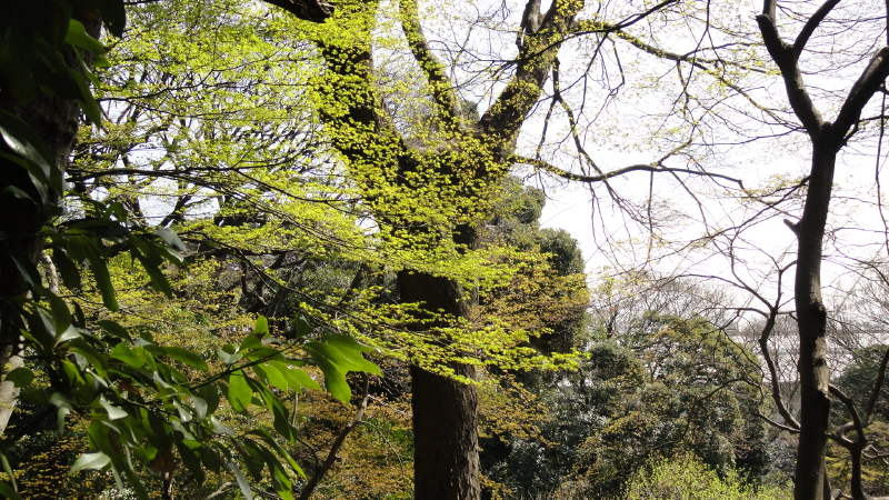 img0022.jpg
