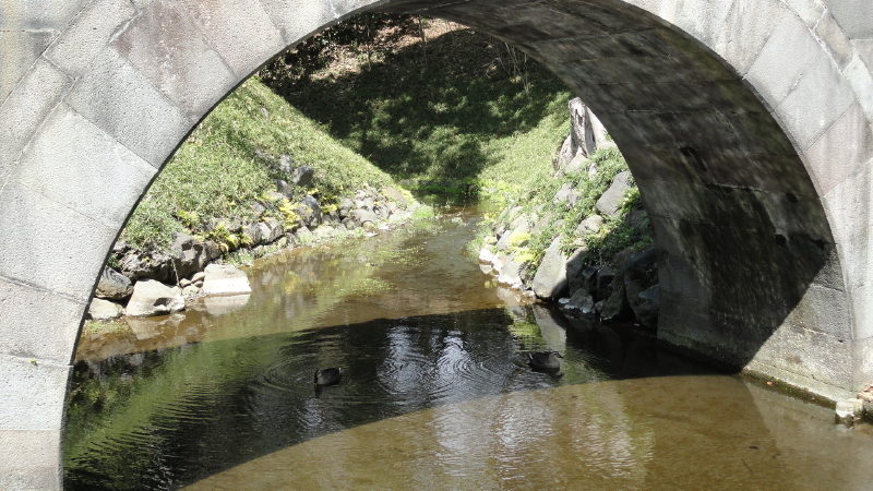 img0028.jpg