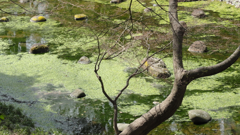 img0033.jpg