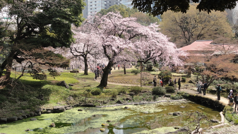 img0040.jpg