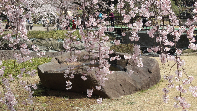 img0046.jpg