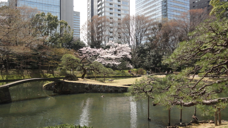 img0051.jpg