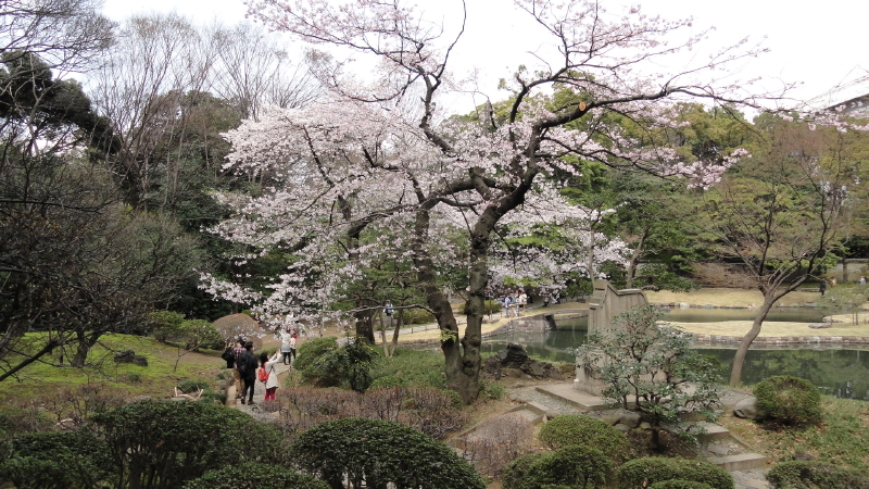 img0058.jpg
