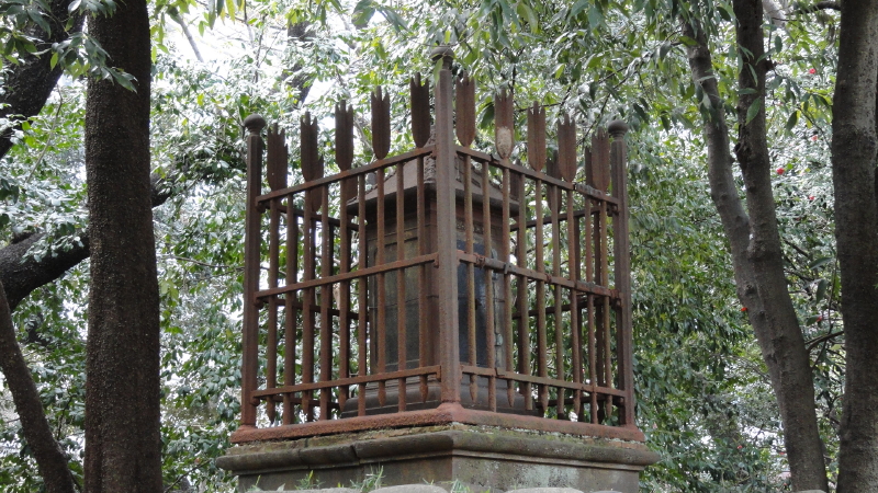 img0059.jpg