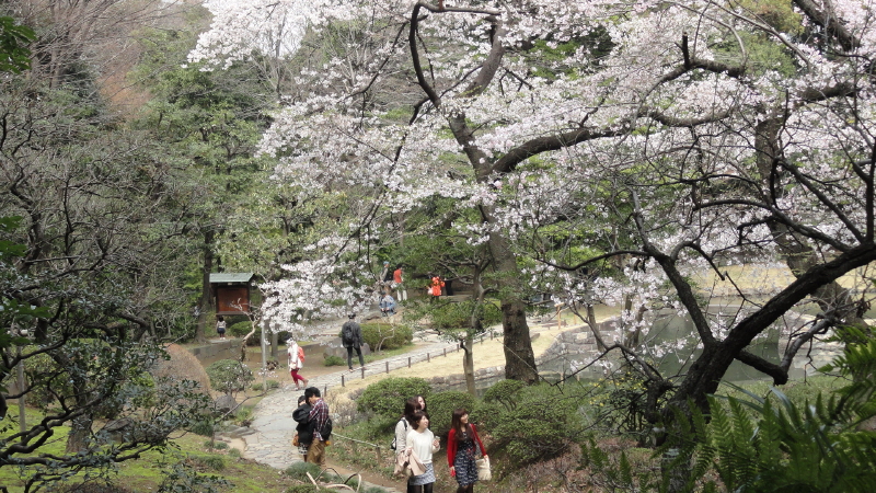 img0061.jpg