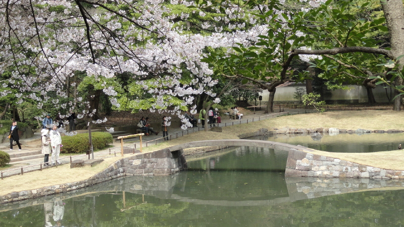 img0063.jpg