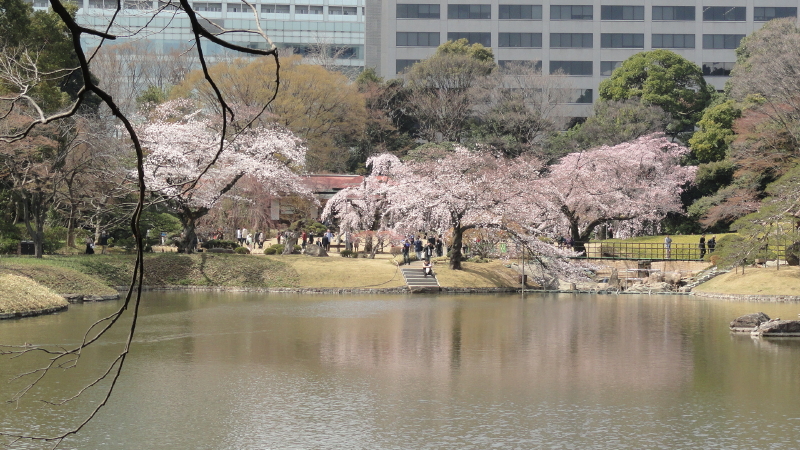 img0067.jpg