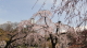 img0001.jpg