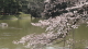 img0004.jpg