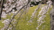 img0008.jpg