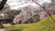 img0009.jpg