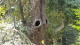 img0021.jpg