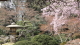 img0045.jpg