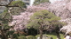 img0047.jpg