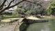img0053.jpg