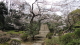 img0057.jpg