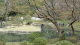 img0062.jpg