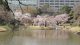 img0067.jpg