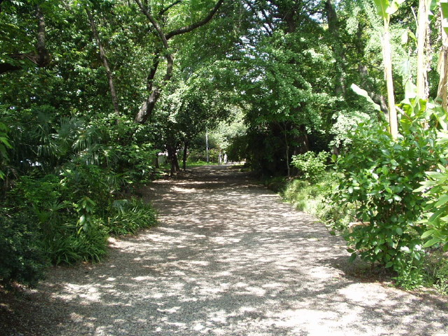img0000.jpg