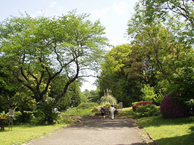 img0001.jpg