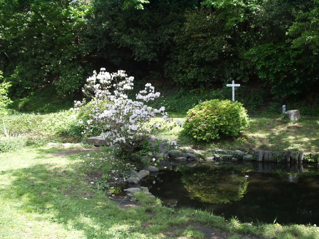 img0003.jpg