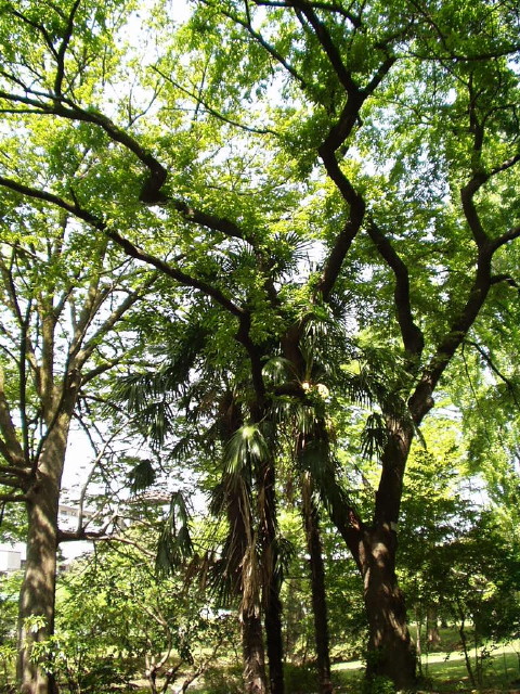 img0004.jpg