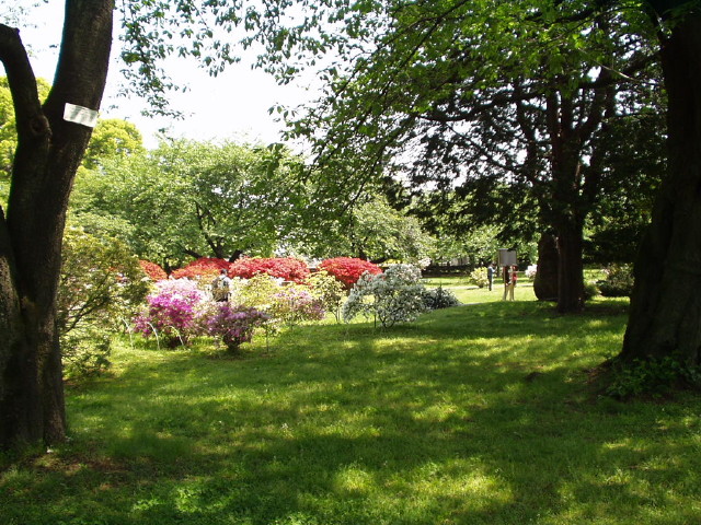 img0007.jpg