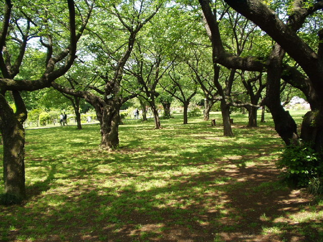 img0008.jpg