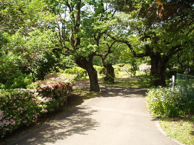 img0011.jpg