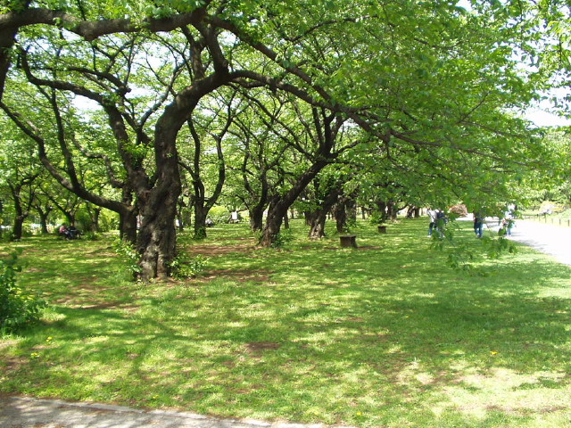 img0013.jpg