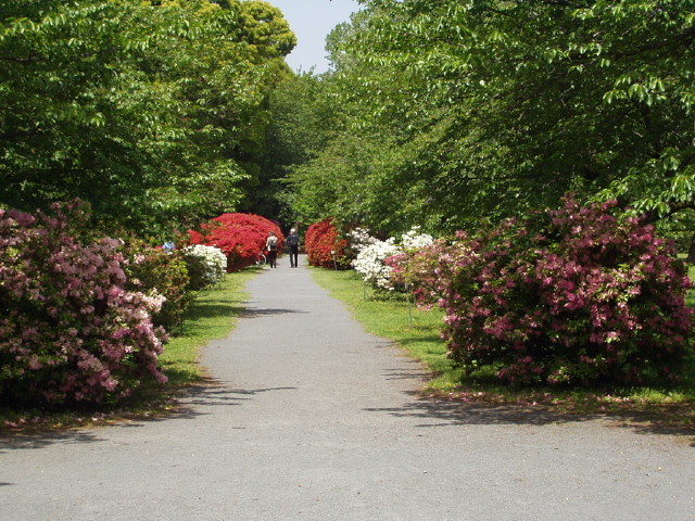 img0014.jpg