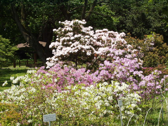 img0018.jpg