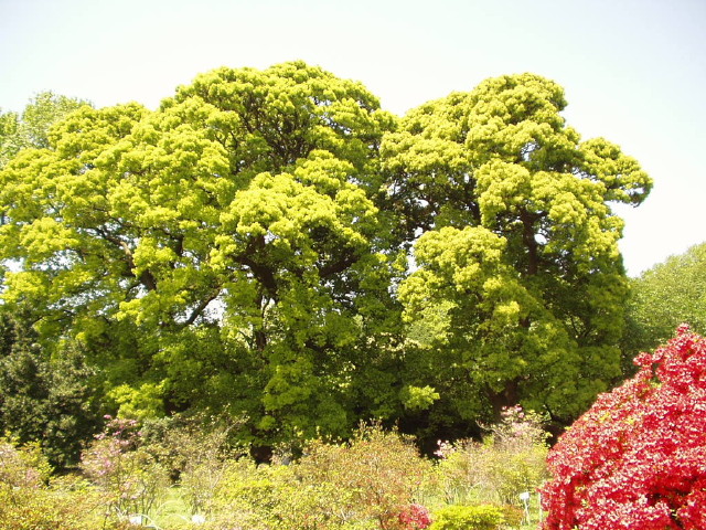 img0019.jpg