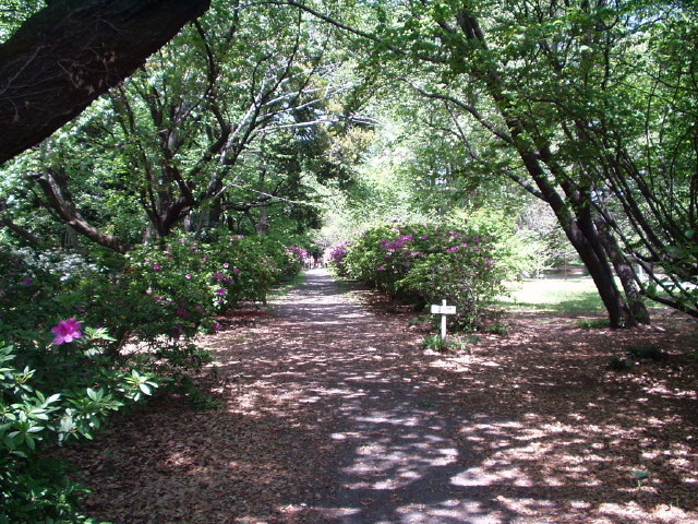 img0020.jpg