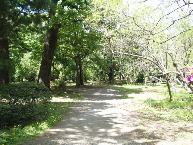 img0021.jpg