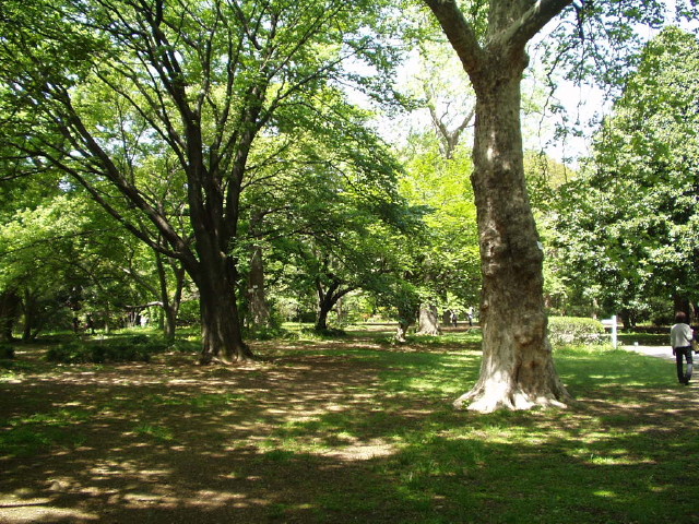 img0023.jpg
