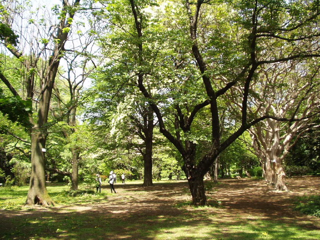 img0024.jpg