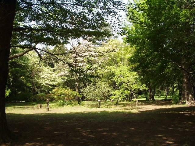 img0025.jpg