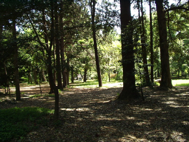 img0026.jpg