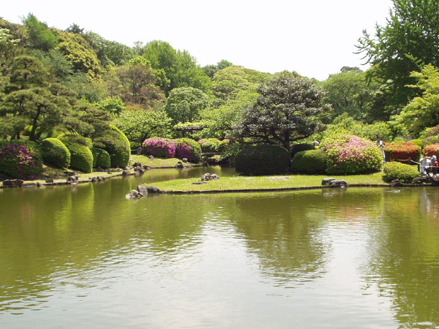 img0036.jpg