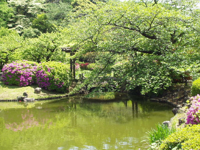 img0038.jpg