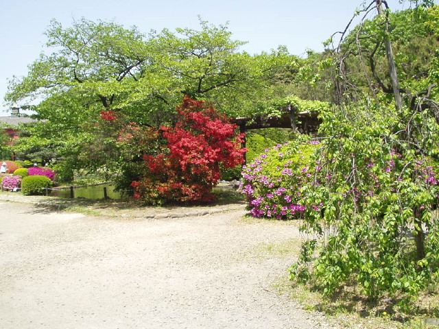 img0042.jpg